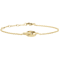 Daniel Wellington DW Classic Unity Lumine 155-185 mm Gold